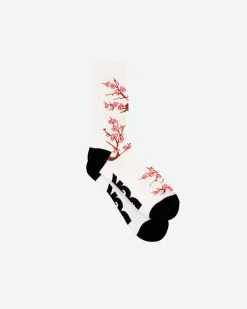 Dirty Ghetto Kids Accord Socks| Accessories
