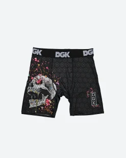 Dirty Ghetto Kids Ancestry Boxer Brief| Bearings|Accessories