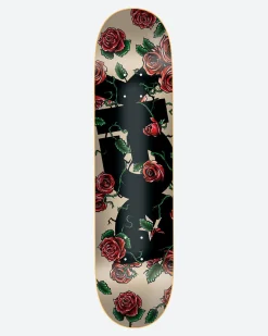 Dirty Ghetto Kids Bloom Sand 8.06" Skateboard Deck| Logo Skateboards