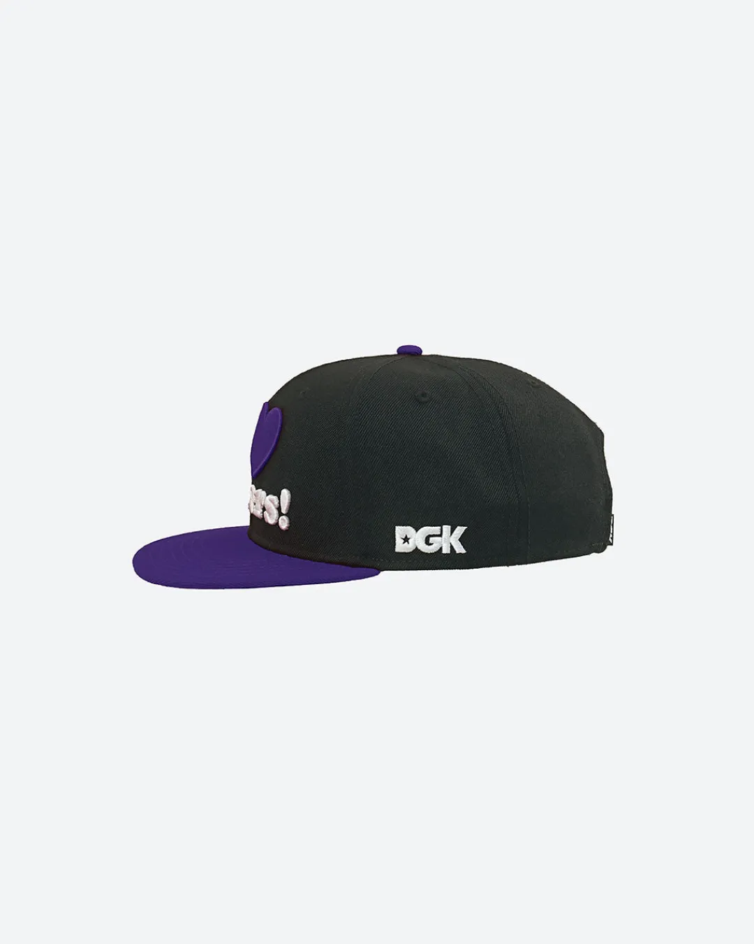 Dirty Ghetto Kids Haters Snapback| Headwear|Accessories