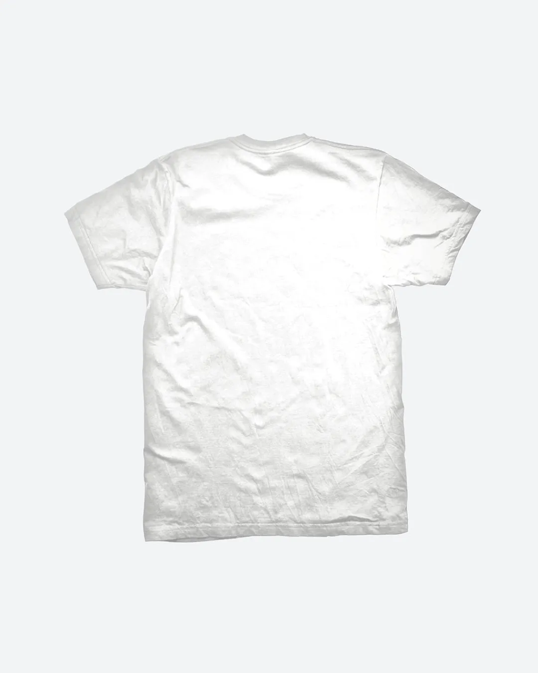 Dirty Ghetto Kids Nacional T-Shirt| T-Shirts