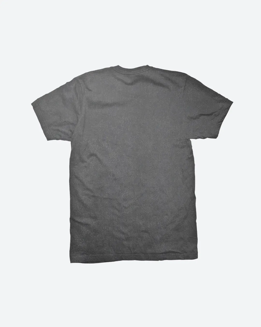 Dirty Ghetto Kids Wings T-Shirt| T-Shirts